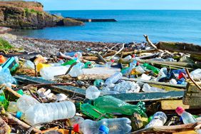 El impacto del plástico en la salud y el medio ambiente