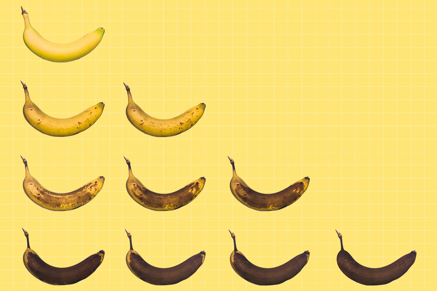 Fotos de plátanos en distintos estados de madurez.