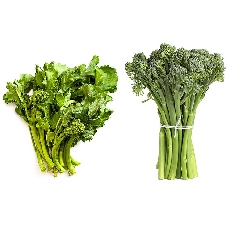 Brócoli labe vs brócoli