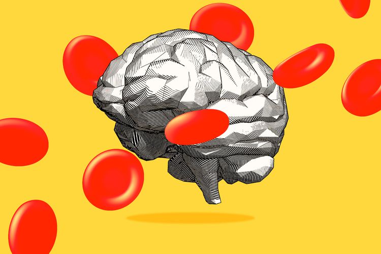 No importa cuántos años tenga la ilustración del cerebro rodeada de glóbulos rojos, cuanto más saludables las elecciones, tendrá una base más fuerte y vibrante para el futuro.