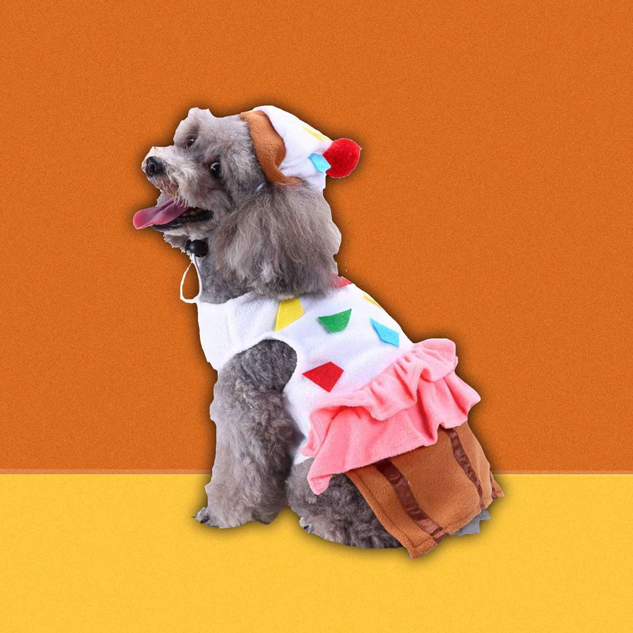 Un perro con traje de cupcake