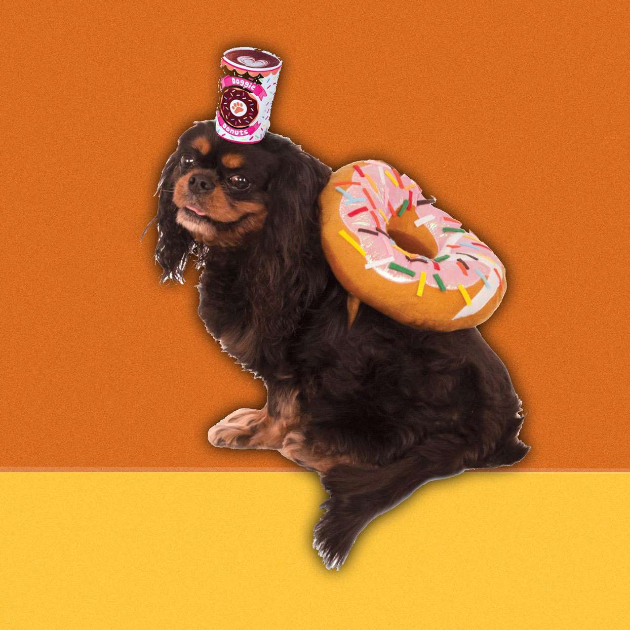 Un perro con un traje de rosquilla y marrón