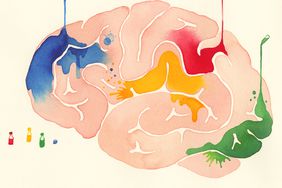 Ilustración de cerebro multicolor