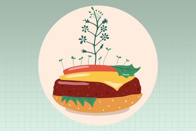Ilustración de una hamburguesa vegetariana