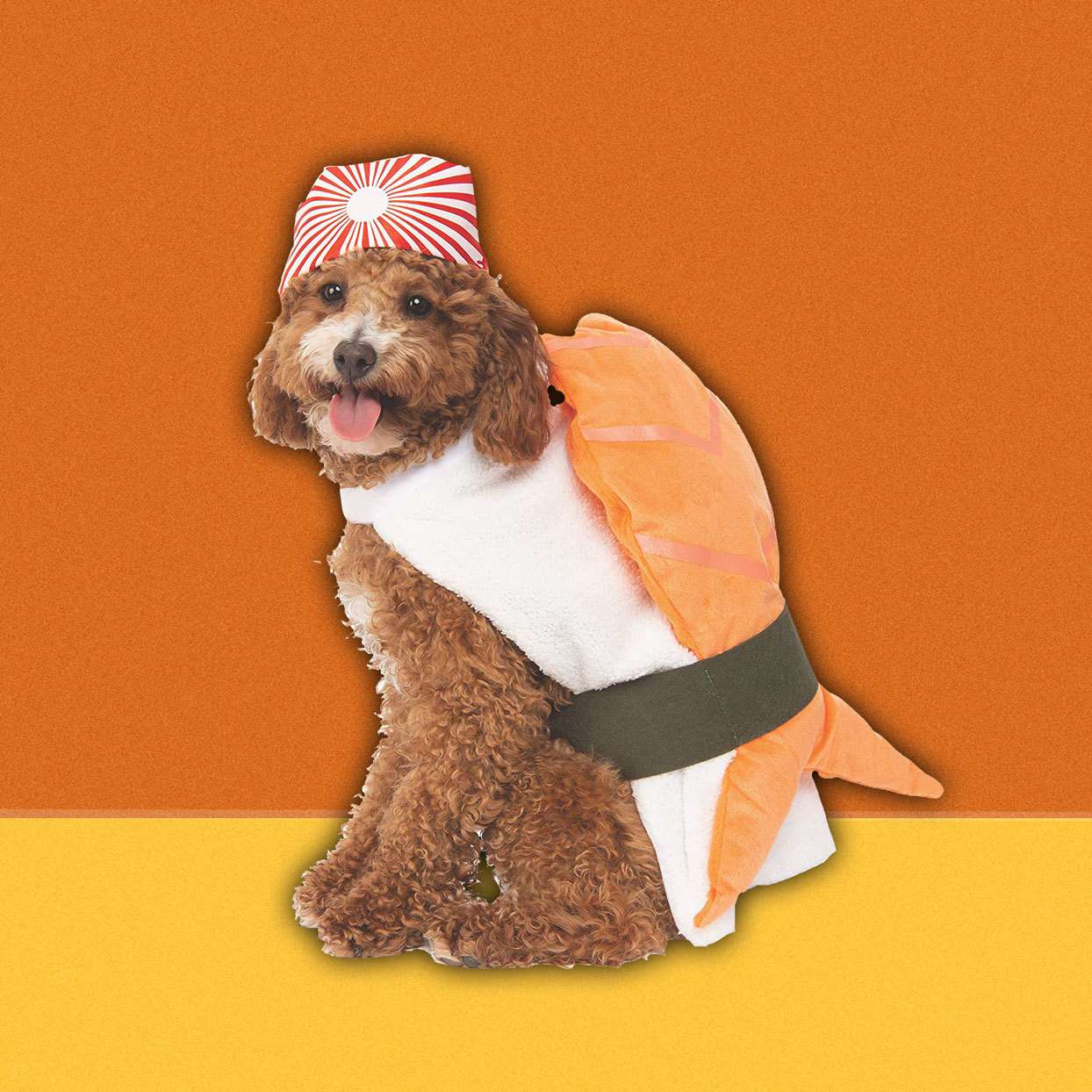 Un perro con un disfraz de sushi