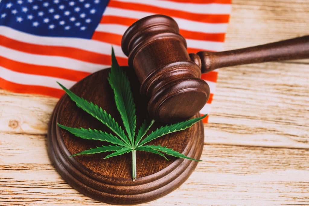 Un diagrama de ángulo alto de una hoja de cannabis fresca y verde ubicada en el bloque de sonido debajo de la mazo sobre la bandera americana sobre la mesa de madera.